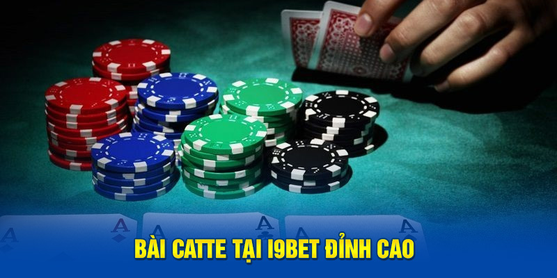 Bài Catte tại i9BET đỉnh cao