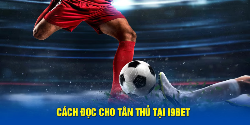 Cách đọc cho tân thủ tại i9bet